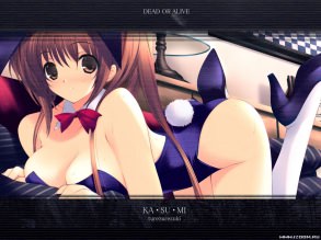 Kasumi, dead or alive
